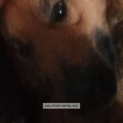 Photo 1/1 Tia Chien lost in St cecile les vignes