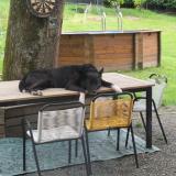 Picture of dog lost at Izeaux