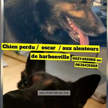 Photo 1/1 Oscar Chien lost in Barbonville