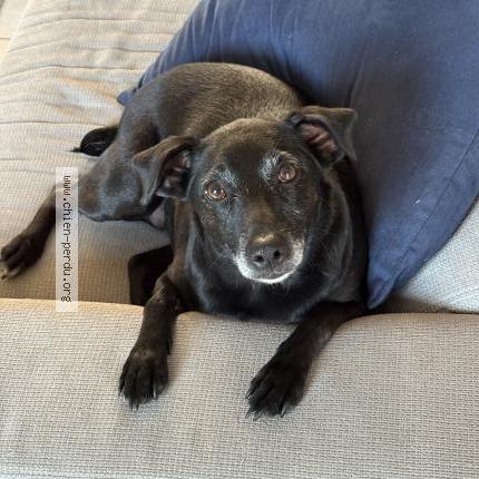 Photo 1/1 Sia Chien lost in Nonancourt