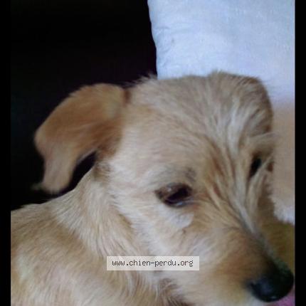 Photo 1/1 Lady Chien lost in Marcilly