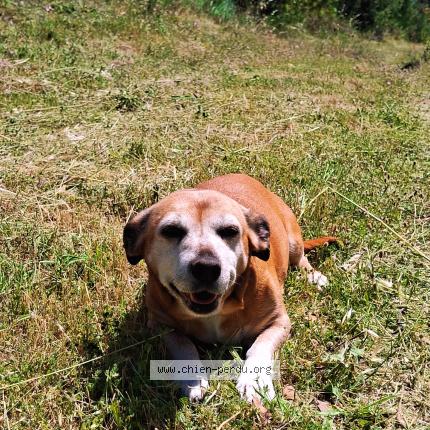 Photo 1/2 Lala Chien lost in Ganges