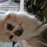 m&eacute;lissa Verreault