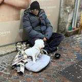 Picture of dog found at Chambery