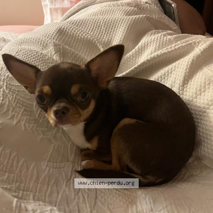 Photo 1/1 Vicky Chien lost in Paris