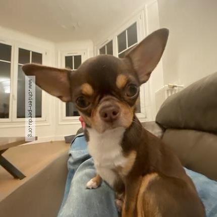 Photo 1/1 Vicky Chien lost in Paris