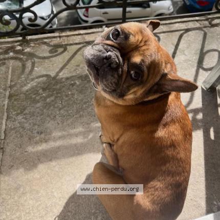 Photo 2/2 Raymond Chien lost in Metz