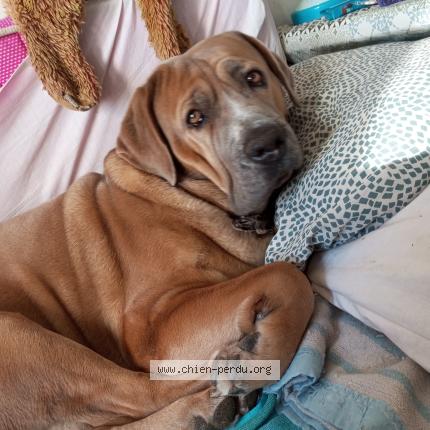 Photo 1/1 Kaila Chien lost in Menton