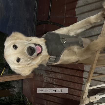 Photo 1/1 Joy Chien lost in Hollywood