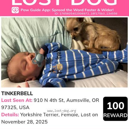Photo 2/2 Tinkerbell Dog lost in Aumseville