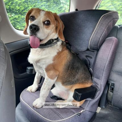 Photo 1/1 Jasper Chien lost in Astis