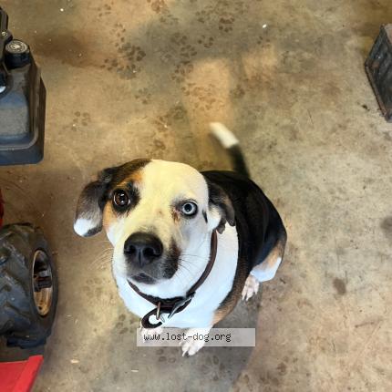 Photo 1/1 Gilly Chien lost in Mcloud