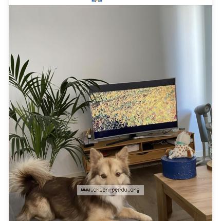 Photo 1/1 Winny Chien lost in La cadiere d azur