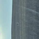 Picture of dog found at Ferriere En Bray