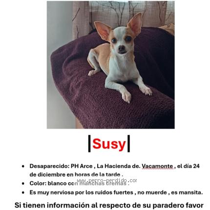 Photo 1/1 Susy Chien lost in Arraijan
