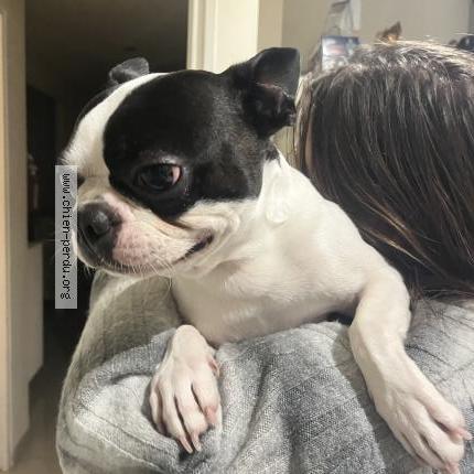 Photo 1/1 Tobias Chien lost in Annot