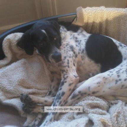 Photo 1/1 Yuna Chien lost in Grignols