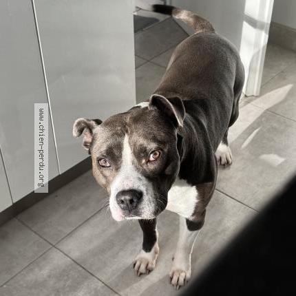 Photo 1/1 Ryo Chien lost in Cerny