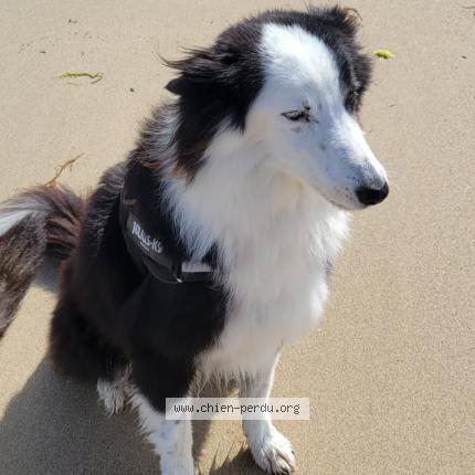 Photo 1/1 Maya Chien lost in Bou