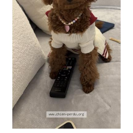 Photo 1/1 huasheng Chien lost in Paris