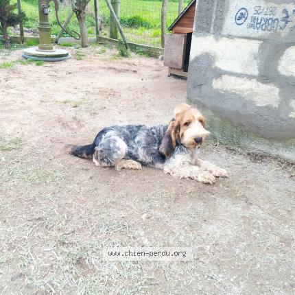 Photo 1/1 Vicky Chien lost in Les eglisottes et chalaures