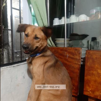 Photo 1/1 Tyler Chien lost in Caloocan city