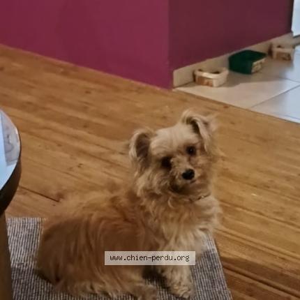 Photo 1/1 Souki Chien lost in Le moule