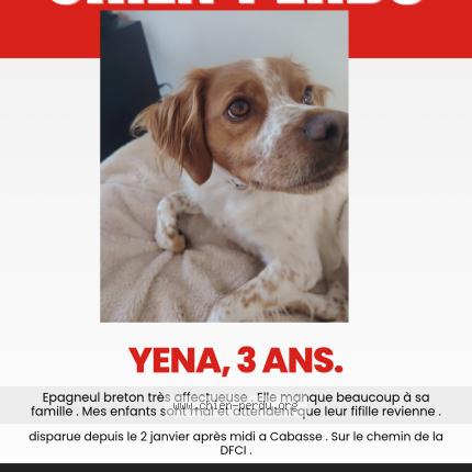 Photo 1/1 Yena Chien lost in Cabasse