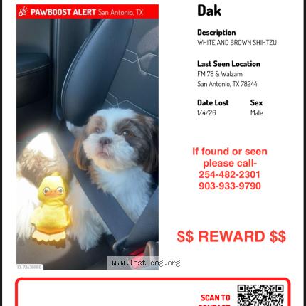 Photo 1/1 Dak Chien lost in San antonio