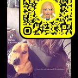 Picture of dog lost at Guitres