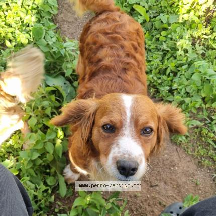 Photo 1/1 Tito Chien lost in Don justo carretera al salvado