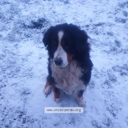 Photo 1/1 Tina Chien lost in Rom