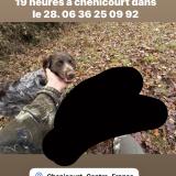 Picture of dog lost at Villiers Le Morhier