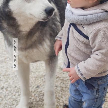 Photo 1/1 Suzanne Fanny Chien lost in St felix