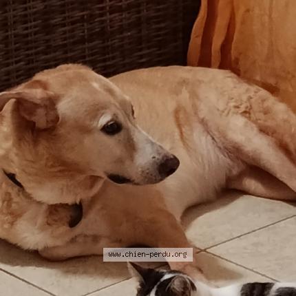 Photo 1/1 Marcus Chien lost in Lamentin