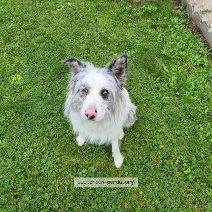 Photo 1/1 Samy Chien lost in Lens