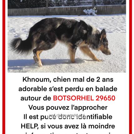 Photo 1/1 Khnoum Chien lost in Botsorhel