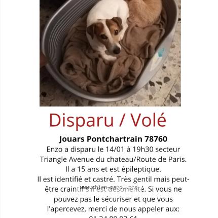 Photo 1/1 Enzo Chien lost in Jouars pontchartrain