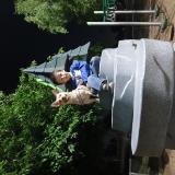 Picture of dog lost at Fresno