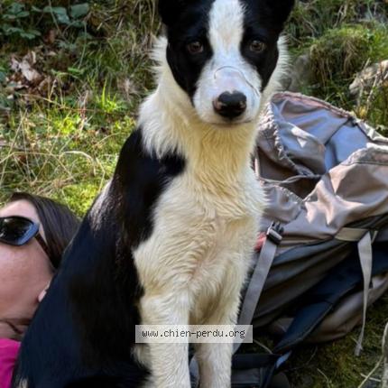 Photo 1/1 Aika Chien lost in Lavit