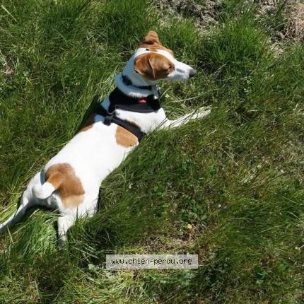 Photo 1/3 Jackie Chien lost in Avignon