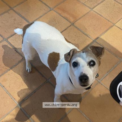 Photo 2/3 Jackie Chien lost in Avignon