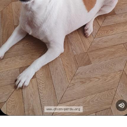 Photo 3/3 Jackie Chien lost in Avignon