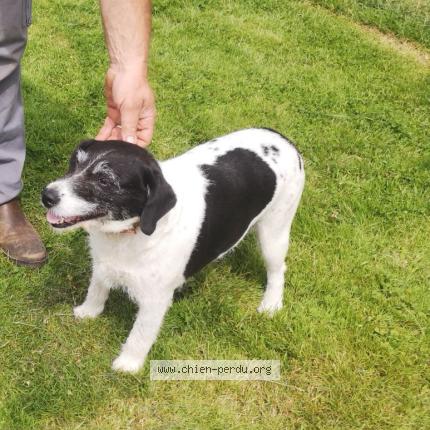 Photo 1/1 Daisy Chien lost in Combree