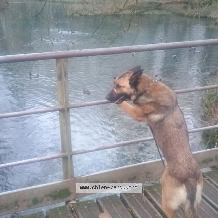 Photo 1/1 Taya Chien lost in Arras