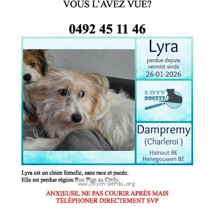 Foto 1/1 Hond teruggevonden Vermist in Dampremy