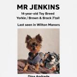 Mr jenkins