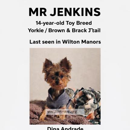 Photo 1/1 Reunited dog Lost in Wilton manors