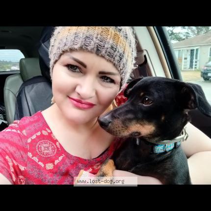 Photo 1/1 Onyx or Poopsie Dog lost in Eureka