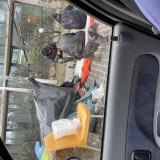 Picture of dog found at Paris